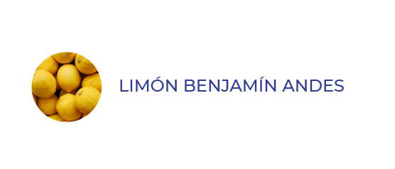 limón benjamín