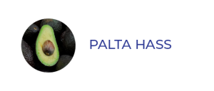 Palta descripción